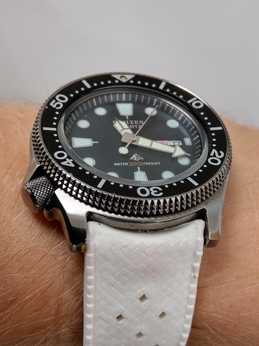 IMAG2837