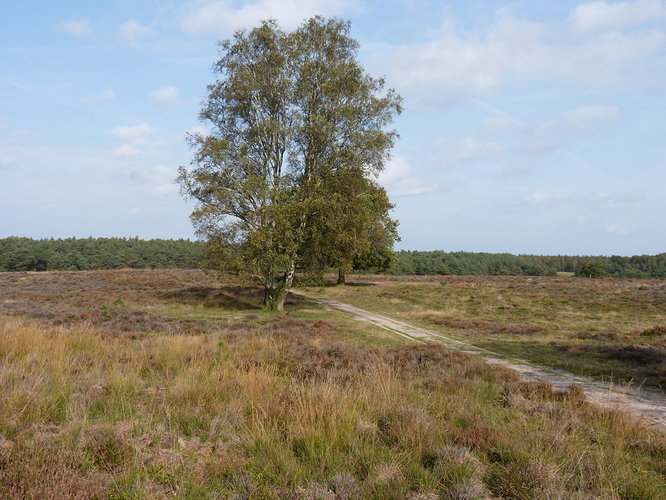 P1180392