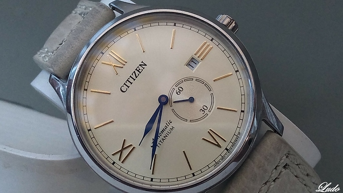 citizen -- NJ009-13P