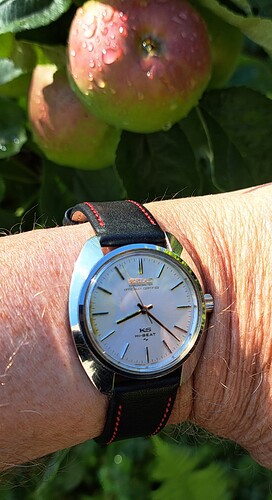 Seiko KS 45 (4 appel koel) 13-07-23