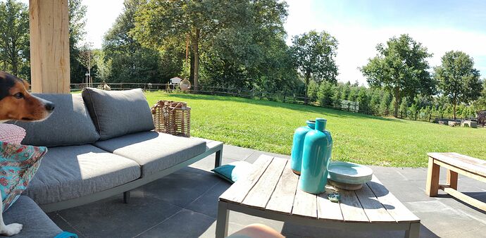 IMG_20220807_155422987