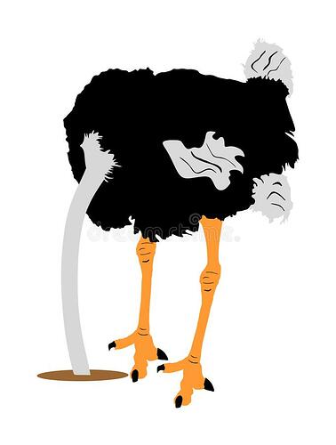 vectorillustratie-struisvogels-geïsoleerd-op-witte-achtergrond-cartoon-grote-vogel-uit-afrika-struisvogel-met-de-hand-zand-144137440