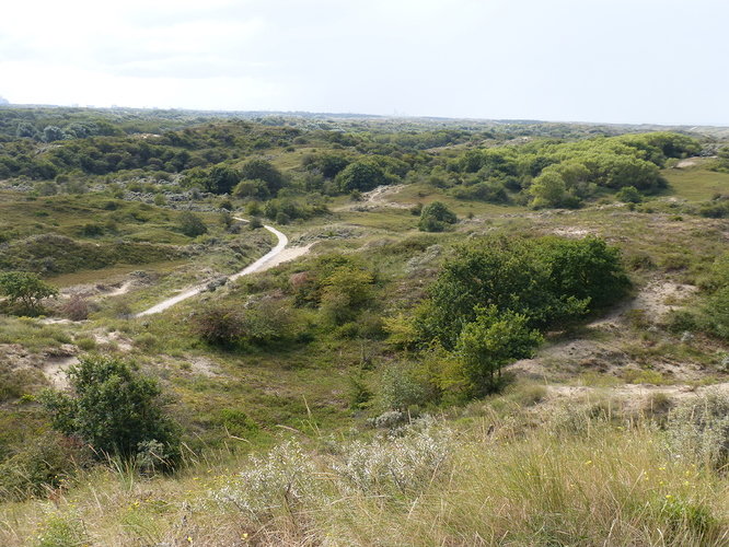 P1170814