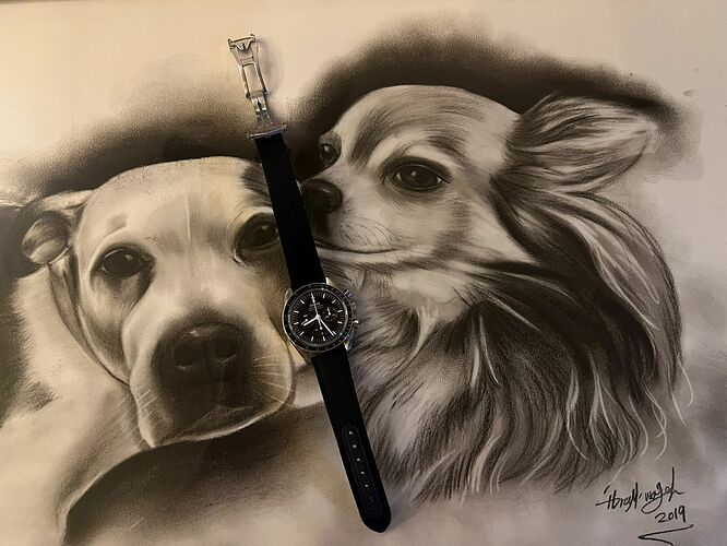 WhatsApp Image 2022-09-06 at 8.30.36 PM