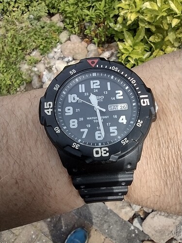 IMG_20210626_112848942_HDR