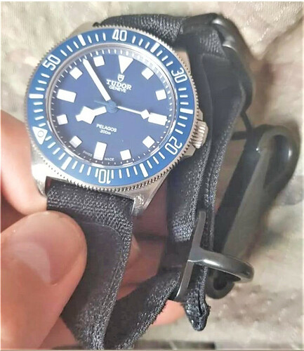 Tudor MN 21.PNG