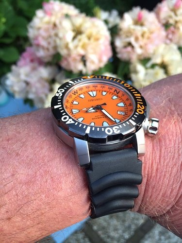 Seiko Landmonster