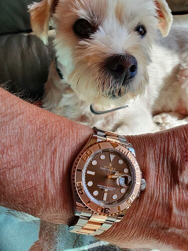 YM Jack waakt over horloge 22-9-2022