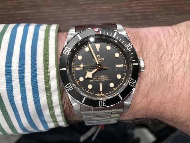 Tudor Black Bay