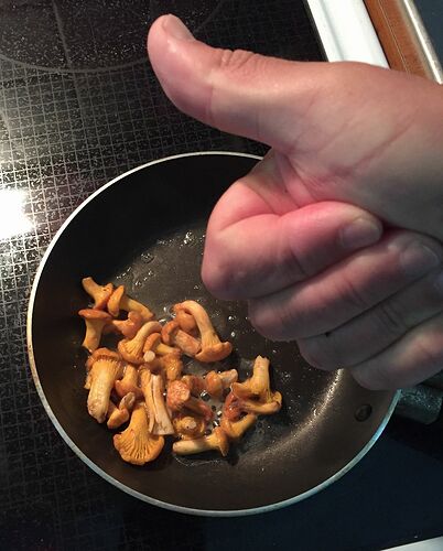 20645177_10209933320745682_5230454738690542894_o