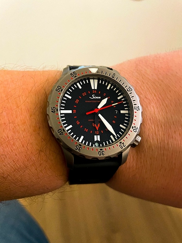Sinn 1