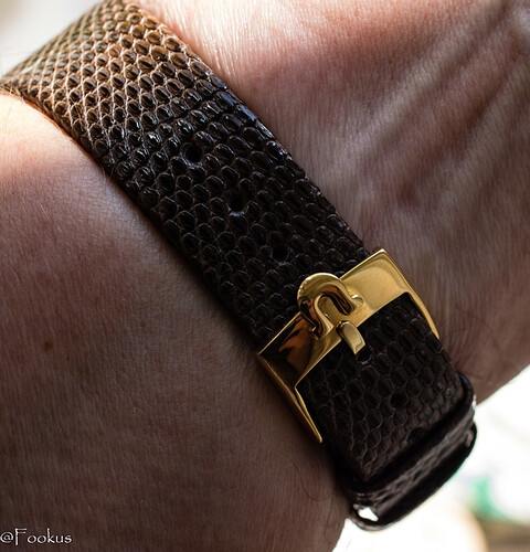 omega (8 of 10)