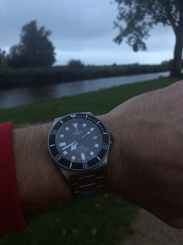 Tudor