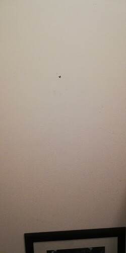IMG_20211128_200642