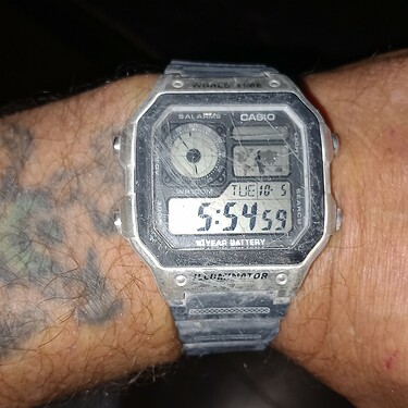 16964780888007007625375651199736