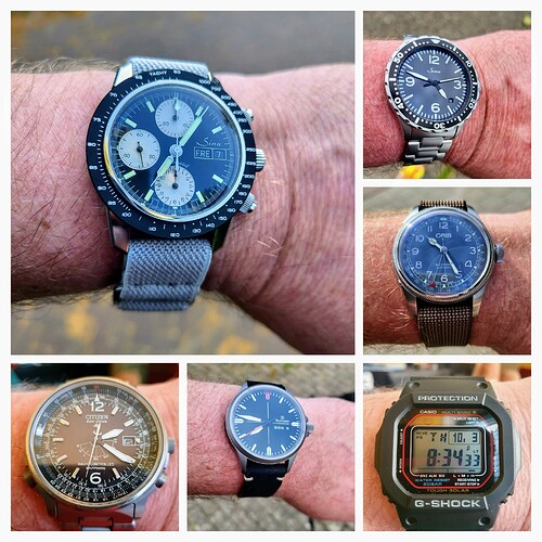20230725_085547-COLLAGE