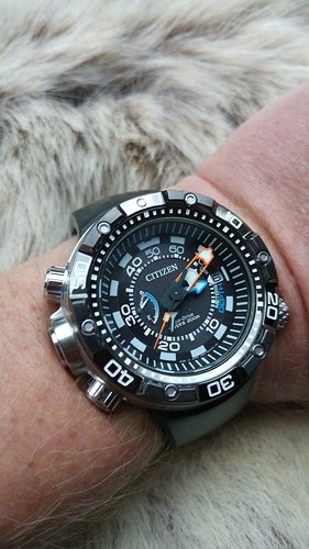 Citizen Promaster Aqualand