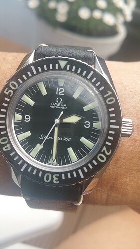 Seamaster 303