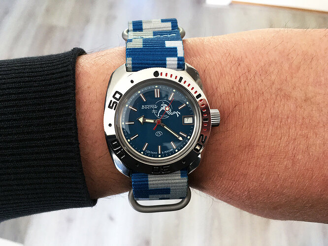 vostok_amphibia_710059