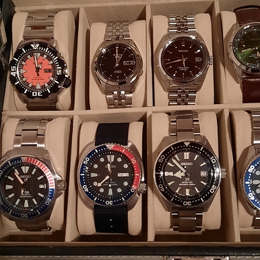 16045945385443966623989211655627