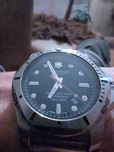 17015397492237403728020092754681