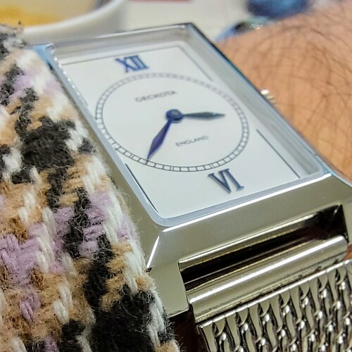 GECKOTA R-01 RECTANGULAR DRESS WATCH Miyota 2025-25mm-18mm-20211126-p146 (1)