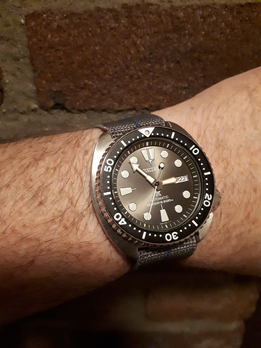 15770228056152865071803752856289
