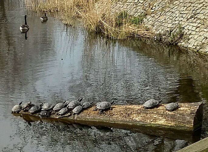 IMG_20220413_160227927_HDR~3