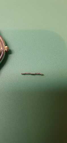 IMG-20210409-WA0003