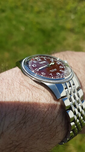 Oris Big Crown Pointer Date Oxblood Dial #2