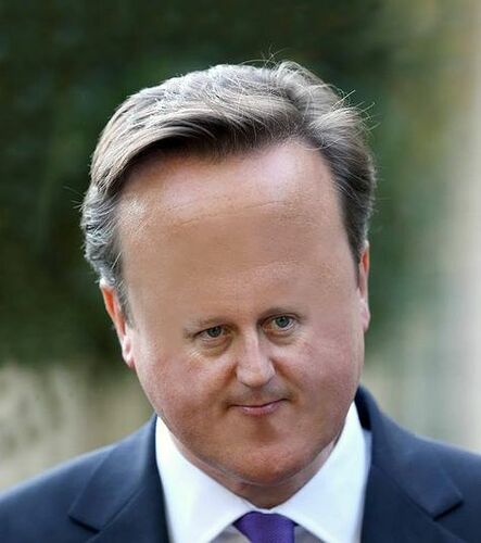 ff5fe7f7e5fa714259954e7f60b2603e--david-cameron