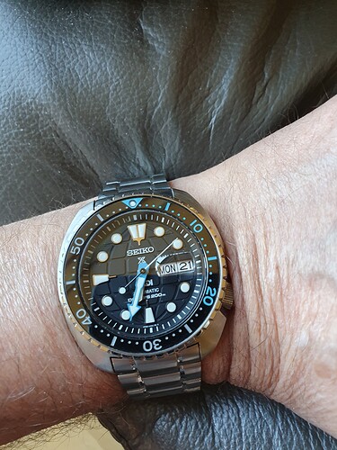 King turtle maandag 21e