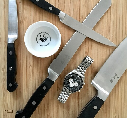Omega Speedy Tuesday Alaska III (7)
