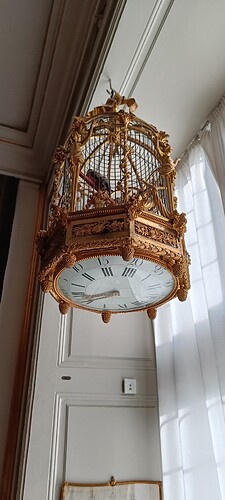 IMG20231008155337