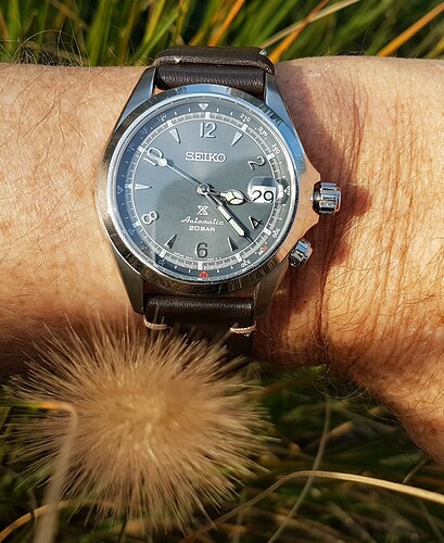 Seiko Alpinist (1) 29-10-22