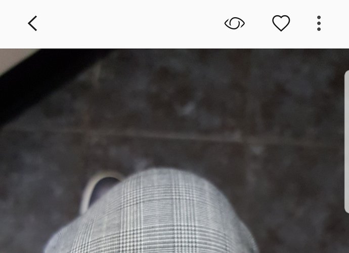Screenshot_20190401-141004_Gallery