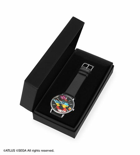 p25_watch_06