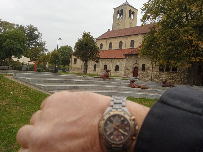 IMG_20201018_102023_7