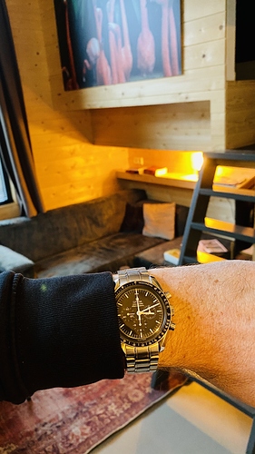 Omega Speedmaster Professional in Tiny House