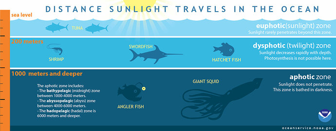 lightinocean2