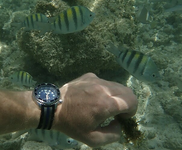 Duiken op Aruba 1