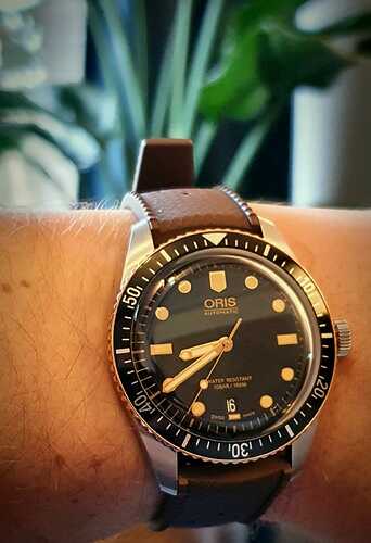 Oris brown tropic