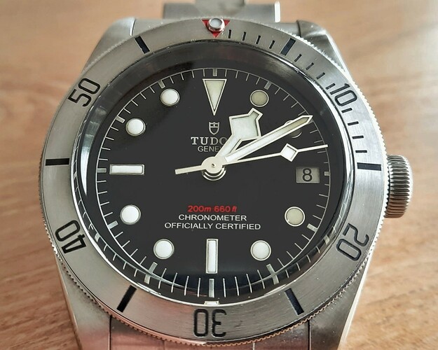 tudor1