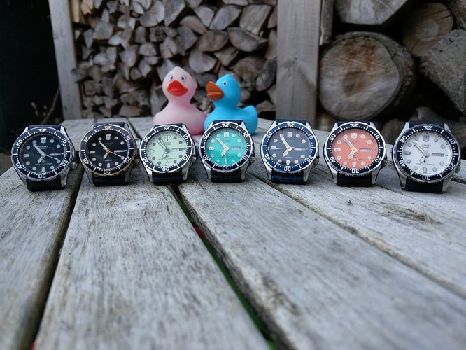IMAG1750