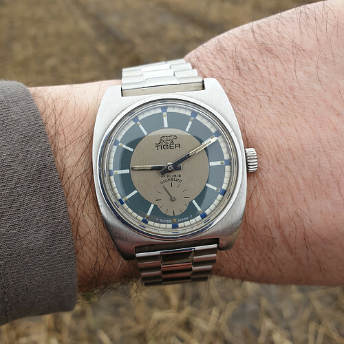 Tiger_VintageB_S