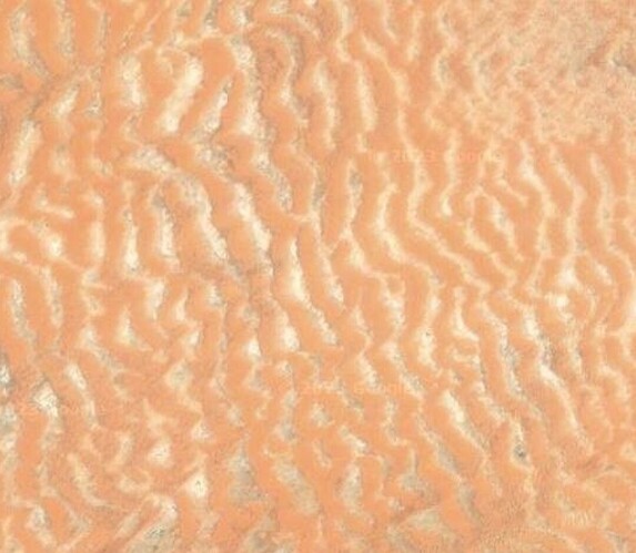 Screenshot_20230725_225000_Maps
