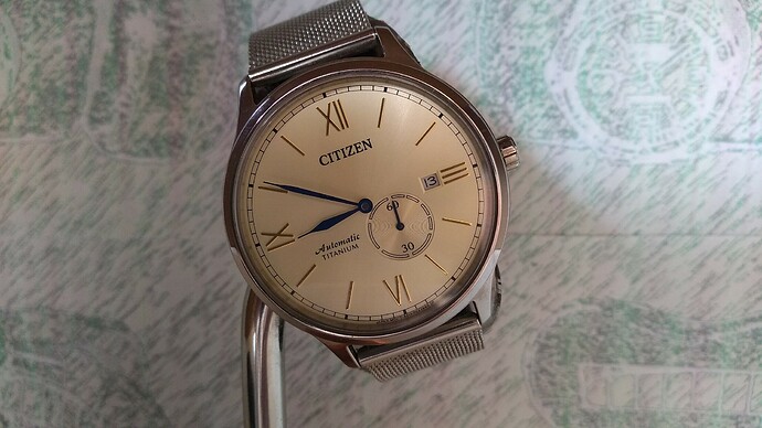 Citizen NJ0090-13P