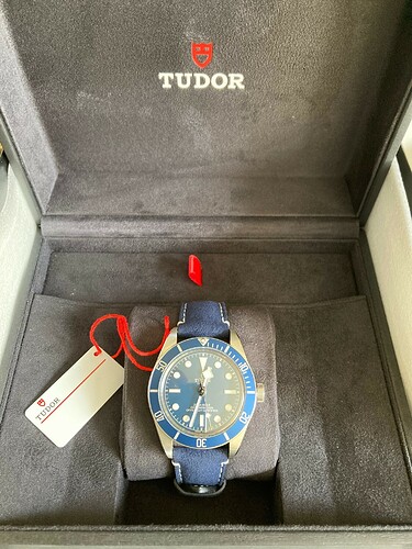 Tudor2