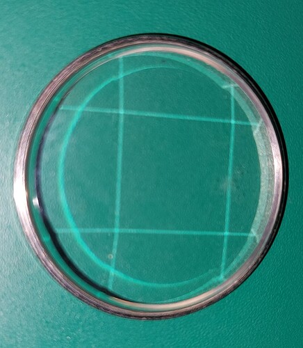 20221110_220807