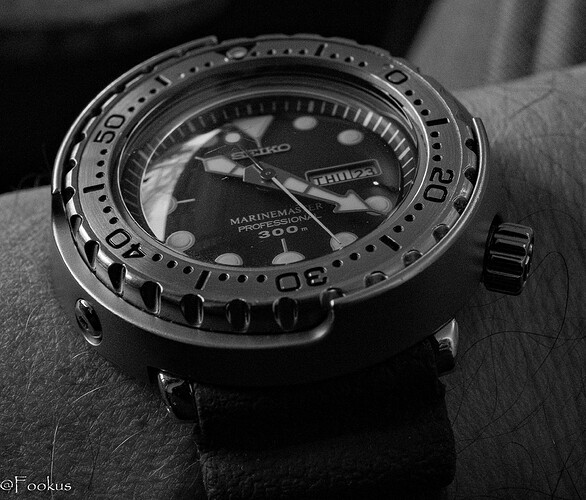 BW (1 of 2)